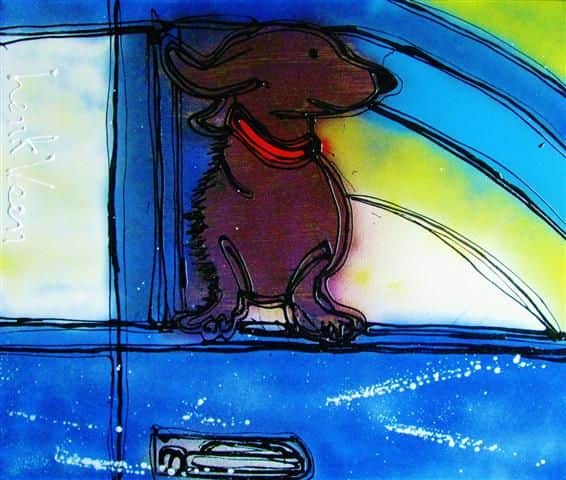 Speed Dog