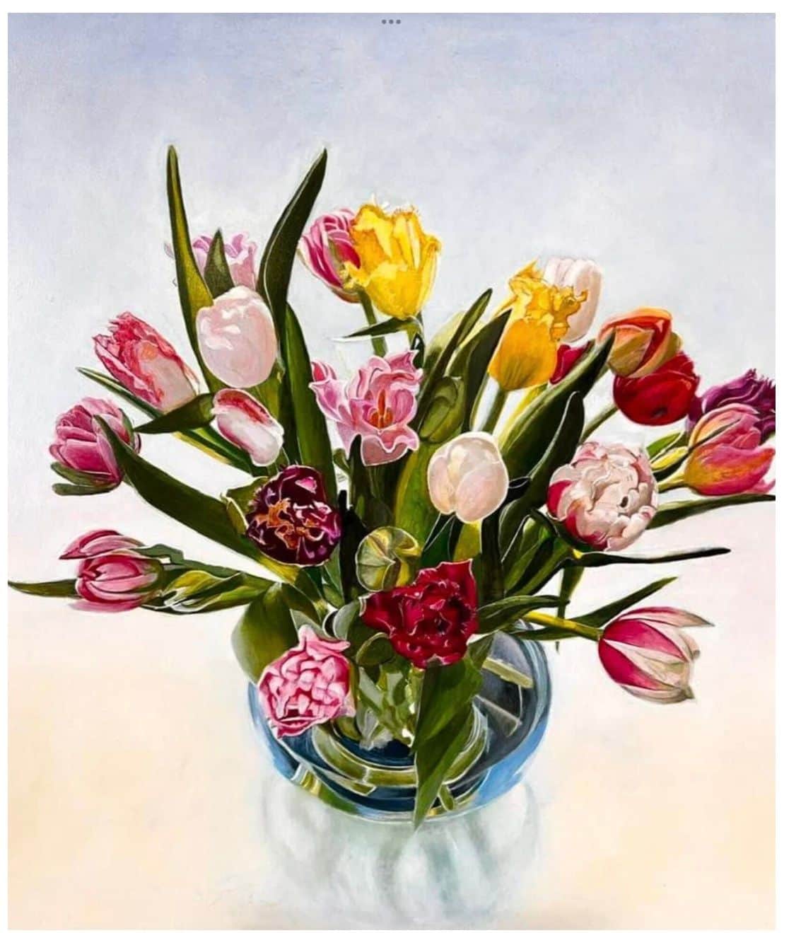 Tulpen uit de polder