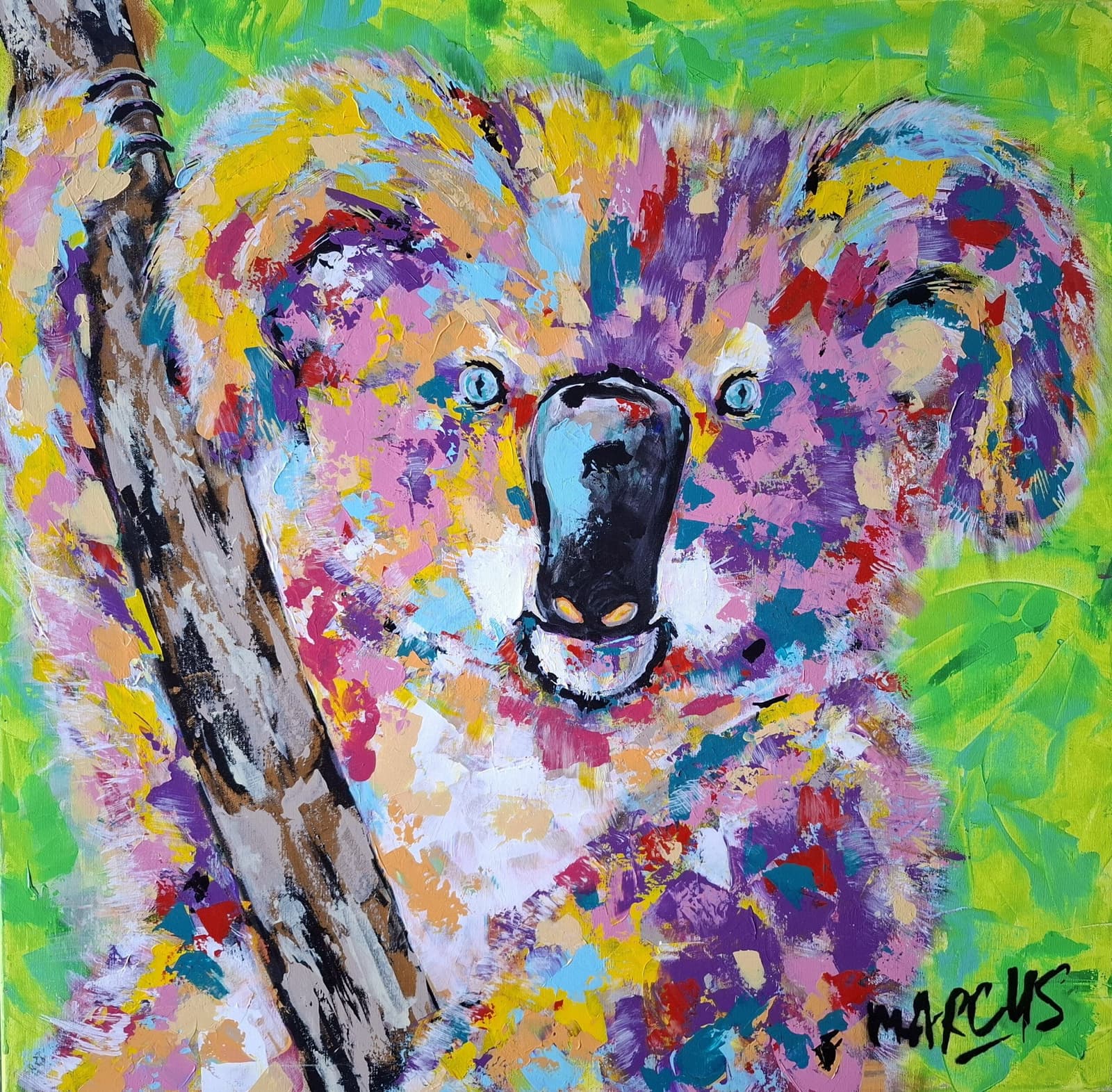 Koala