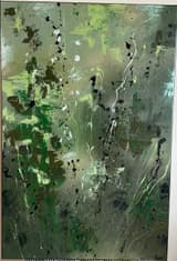 Forest 1