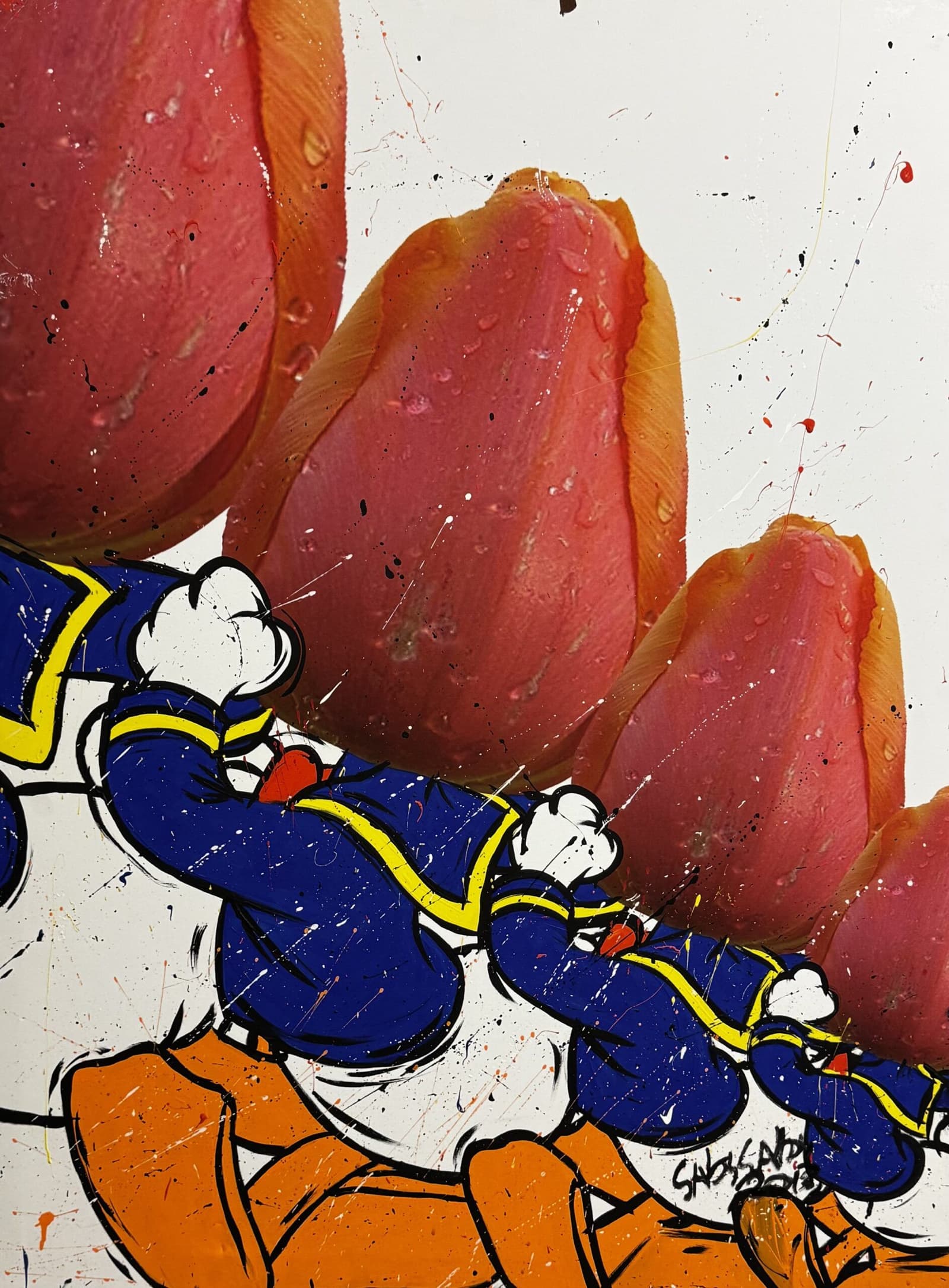 Donald Tulip