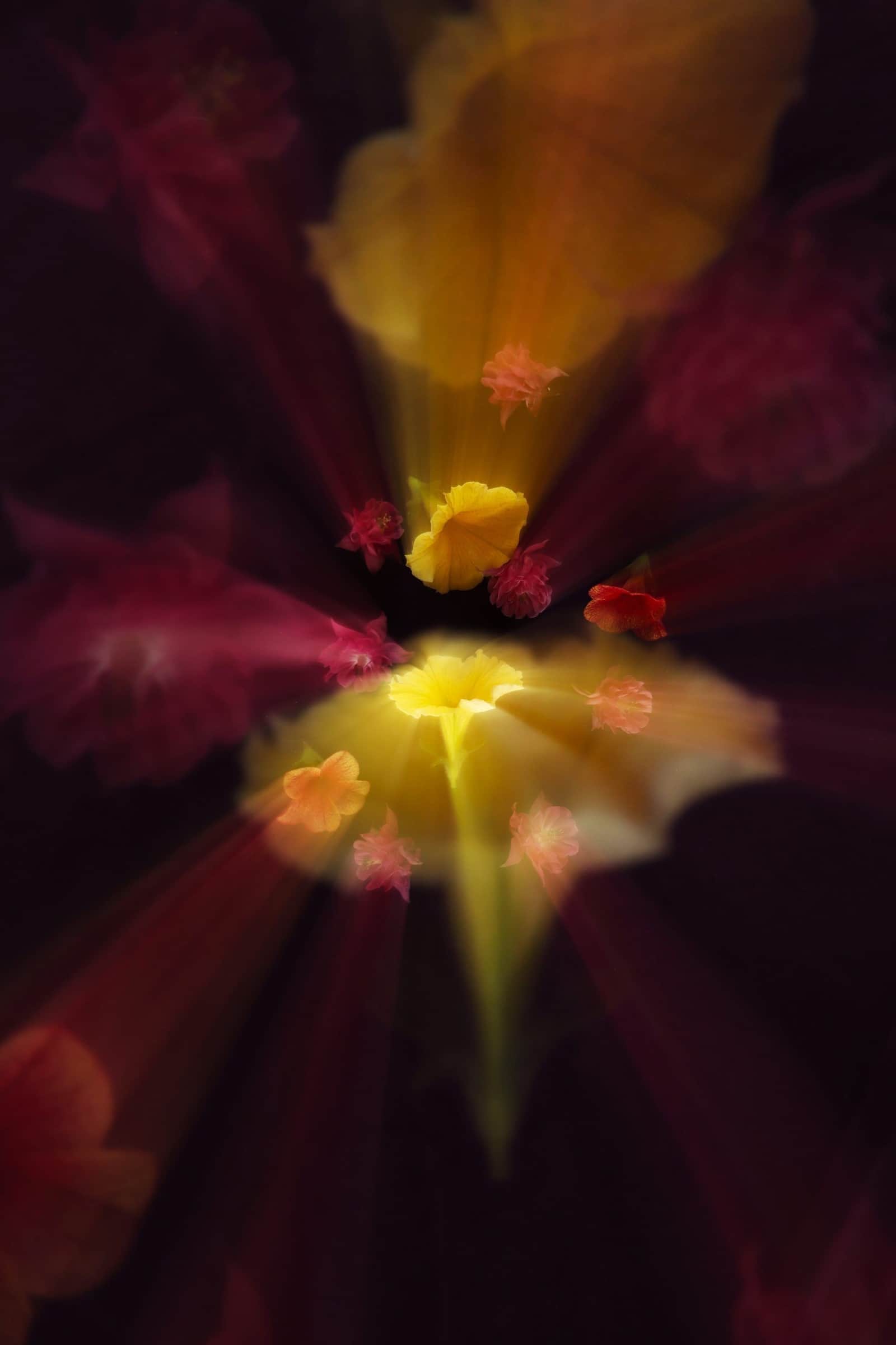 Music Flowers