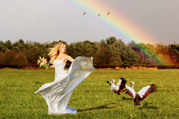 Springtime